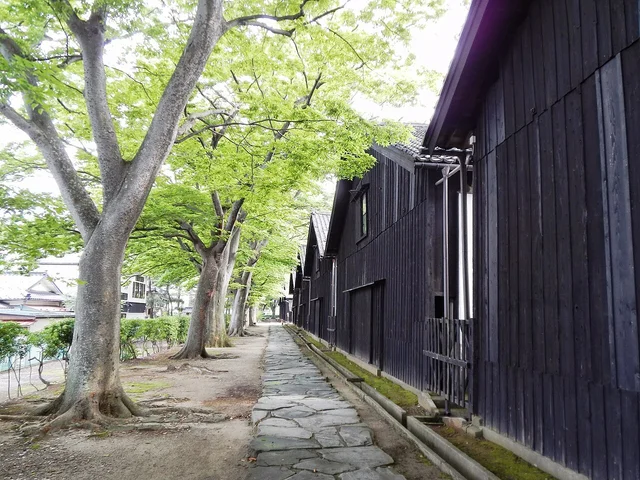 Sakata merchant storehouses surrounded by lush trees.